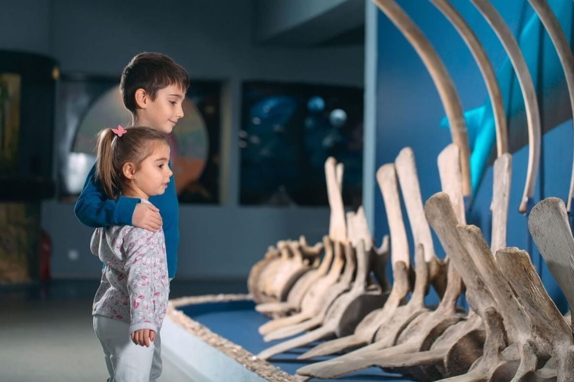 5-motivos-para-levar-as-criancas-ao-museu