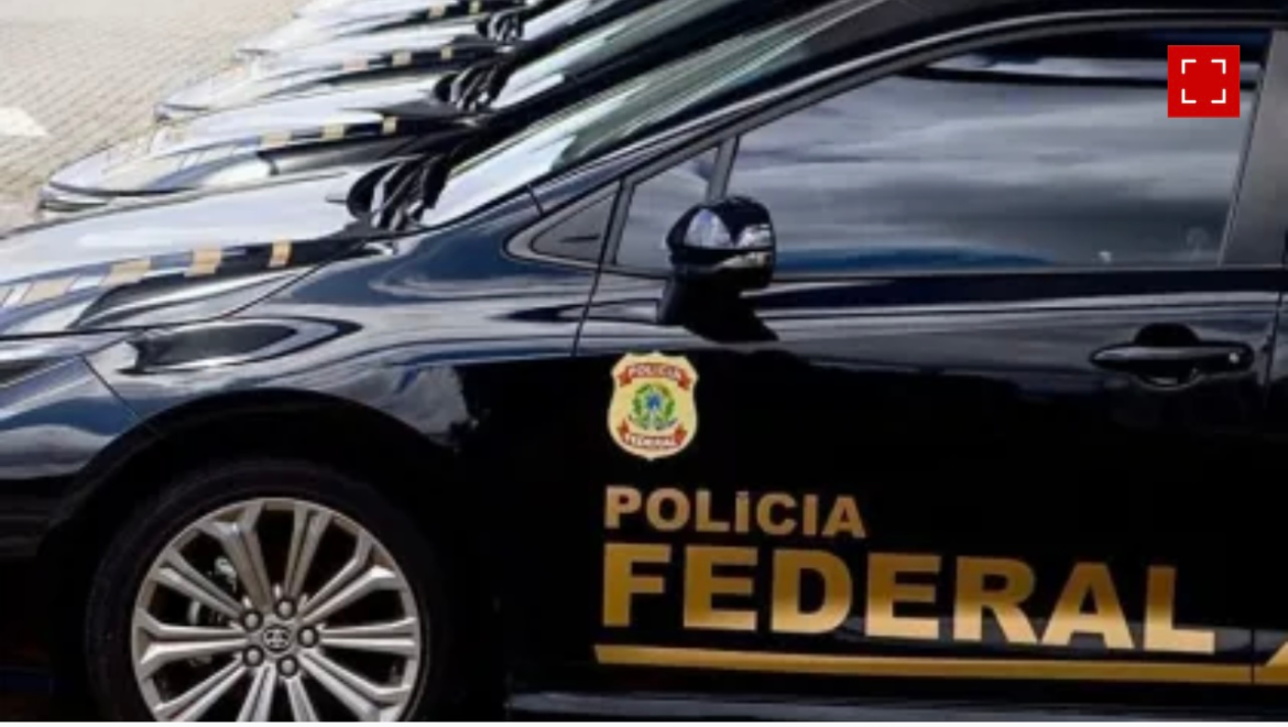 pf-faz-operacao-contra-fraudes-em-plataforma-do-governo