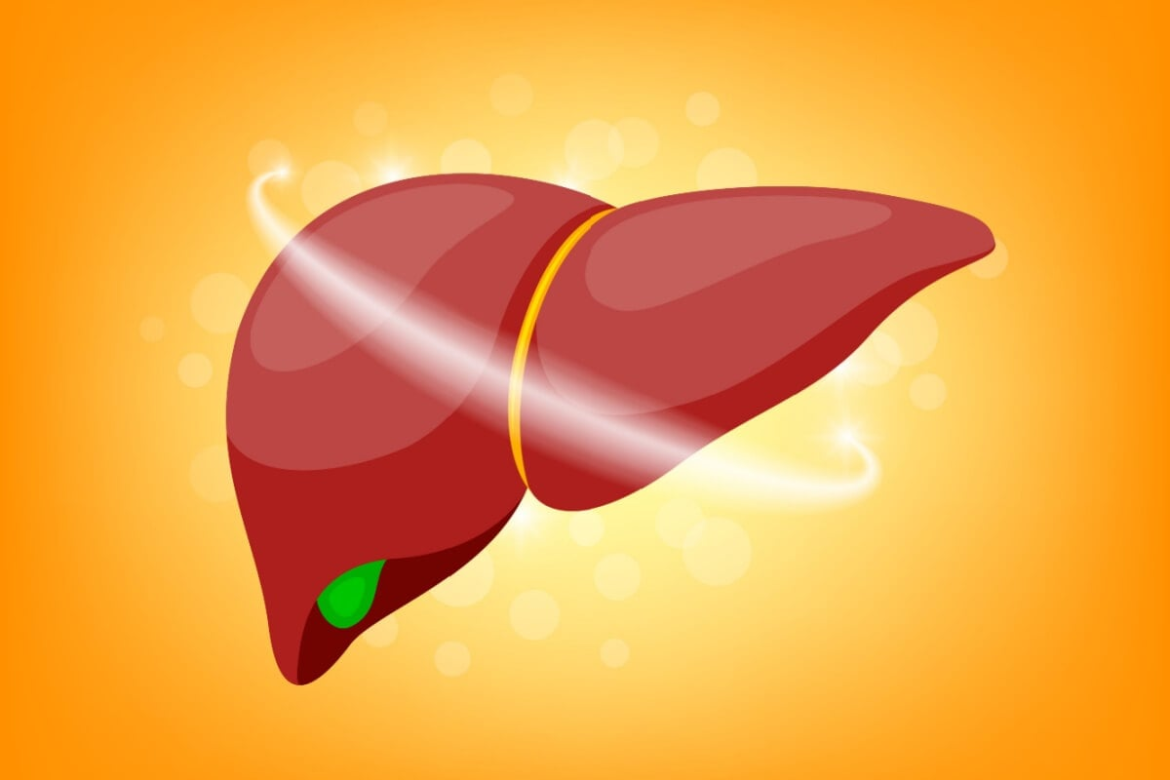 veja-as-causas-e-o-tratamento-para-a-gordura-no-figado